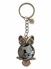 Load image into Gallery viewer, Owl Keychain - Cloudy Days