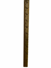 Load image into Gallery viewer, Ruler (Metric) / Bookmark - Rambling Rose